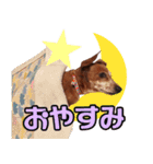 ななといっしょ（個別スタンプ：14）