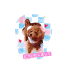 トイプードルシェリーの日常part.2（個別スタンプ：4）