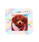 トイプードルシェリーの日常part.2（個別スタンプ：5）