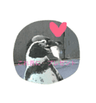 動物さんの行動（個別スタンプ：1）
