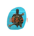 動物さんの行動（個別スタンプ：4）
