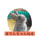 まりんちゃんねる（個別スタンプ：1）