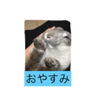 まりんちゃんねる（個別スタンプ：2）
