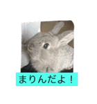 まりんちゃんねる（個別スタンプ：3）