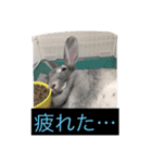 まりんちゃんねる（個別スタンプ：6）