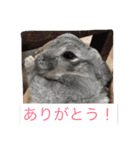 まりんちゃんねる（個別スタンプ：7）