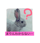 まりんちゃんねる（個別スタンプ：9）