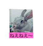 まりんちゃんねる（個別スタンプ：12）