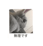 まりんちゃんねる（個別スタンプ：13）