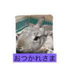 まりんちゃんねる（個別スタンプ：16）