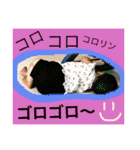 つーさん。（個別スタンプ：39）