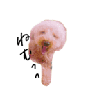 dog toy poudre（個別スタンプ：7）