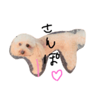 dog toy poudre（個別スタンプ：8）