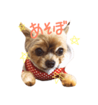 cRc（個別スタンプ：4）