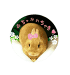 うさぎのマロン姫（個別スタンプ：9）