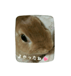 うさぎのマロン姫（個別スタンプ：18）