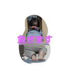 舞花ちゃん（個別スタンプ：3）
