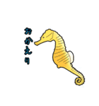 魚たんぷ3（個別スタンプ：1）