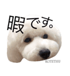 あられに集まる犬好きさんのスタンプ♡（個別スタンプ：8）