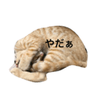 souji2（個別スタンプ：2）