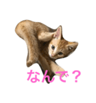 souji2（個別スタンプ：8）