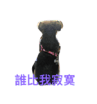 wowow_boss（個別スタンプ：2）