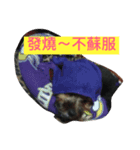 wowow_boss（個別スタンプ：3）