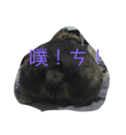 wowow_boss（個別スタンプ：4）