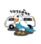 Sea Eagle（個別スタンプ：21）
