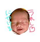 がくちんスタンプ（個別スタンプ：4）