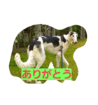 ROYAL ROAD3（個別スタンプ：3）