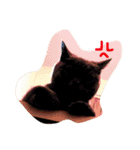 I'm Amour.（個別スタンプ：1）