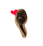 I'm Amour.（個別スタンプ：3）