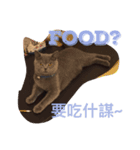 I'm Amour.（個別スタンプ：14）