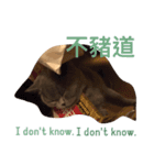 I'm Amour.（個別スタンプ：15）