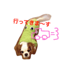 チャコちゃんです（個別スタンプ：4）