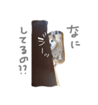 わがままふくちゃん（個別スタンプ：2）