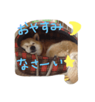 わがままふくちゃん（個別スタンプ：4）