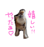 わがままふくちゃん（個別スタンプ：5）