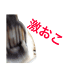 わがままふくちゃん（個別スタンプ：14）