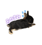 うさぎのつまみちゃんだよ（個別スタンプ：2）