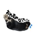 うさぎのつまみちゃんだよ（個別スタンプ：3）