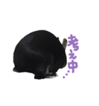 うさぎのつまみちゃんだよ（個別スタンプ：14）