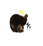 うさぎのつまみちゃんだよ（個別スタンプ：19）