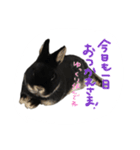 うさぎのつまみちゃんだよ（個別スタンプ：20）
