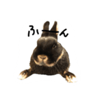 うさぎのつまみちゃんだよ（個別スタンプ：24）