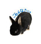 うさぎのつまみちゃんだよ（個別スタンプ：37）