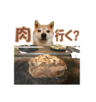 豆柴ビーンの年末年始（個別スタンプ：31）