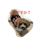 ruru stamp1（個別スタンプ：2）