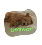 ruru stamp1（個別スタンプ：3）